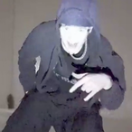 KaksiKoo's Avatar'