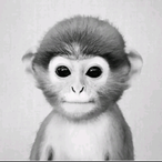 ApeWithAnAk5065's Avatar'