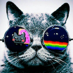 Toxic Paradies's Avatar'