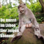 fnge_eotze's Avatar'