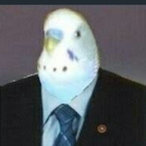 RabonaSkill's Avatar'