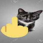 Mr_NeinLives's Avatar'