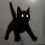 Asylxm_'s Avatar'