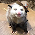 GameChooseOp's Avatar'