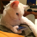 MethodicBanjo5's Avatar'