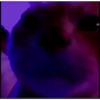 rhnszprkvai1231's Avatar'