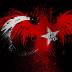 w_AKIN's Avatar'