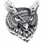 temp-148003600's Avatar'