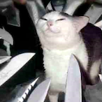 UnbreakableMeow's Avatar'