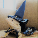 MrWizardLizard's Avatar'