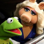 Kermit.HSMF's Avatar'