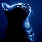 ItsLockDownn's Avatar'