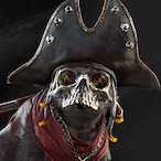 Auxil1ary17's Avatar'