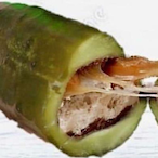 Unwoundmink's Avatar'