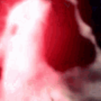 gooningsigma's Avatar'