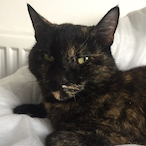 Fanshawe4x4s's Avatar'