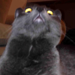 FRAM3OW's Avatar'