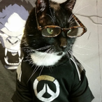JeffCat-lan's Avatar