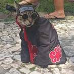 Wabidee's Avatar'