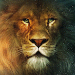 nolimitspencer's Avatar'