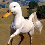 Yeetis_'s Avatar'