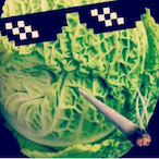 Wasted_Cabbage's Avatar'