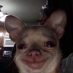 SlipyMozzarella's Avatar'
