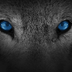 hewsamX's Avatar'