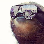 Kleppin's Avatar'