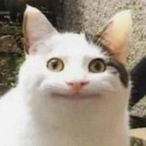 MrTiVor's Avatar'