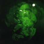 swxng---me-__-'s Avatar'