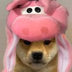 CasualPiggy's Avatar'