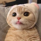 Bixby.'s Avatar'