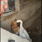 SeaBass679's Avatar'