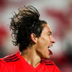PiriKitoSoberbo's Avatar'