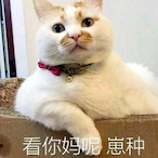Sofunny573's Avatar'