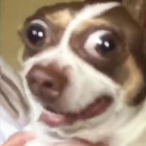 G7.LouVince's Avatar'