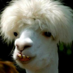 awsom johnson's Avatar'