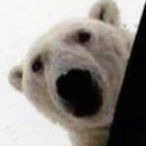 Maike_Tauch1's Avatar'