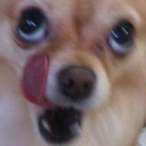 Pr3st0n97's Avatar'