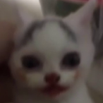 AshIsPeekin's Avatar'