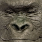 Guerrilla_Handz's Avatar'