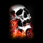 Nekita.'s Avatar'