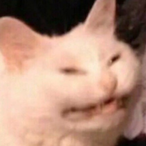 Nitom.KE's Avatar'