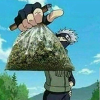 SergJT's Avatar'