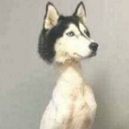 insteadofspoons's Avatar