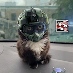 Kiyko000's Avatar'