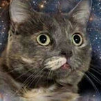 RIKE54326's Avatar'