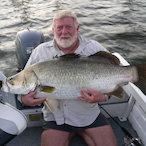 Barramundi's Avatar'