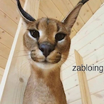 zabloing37's Avatar'